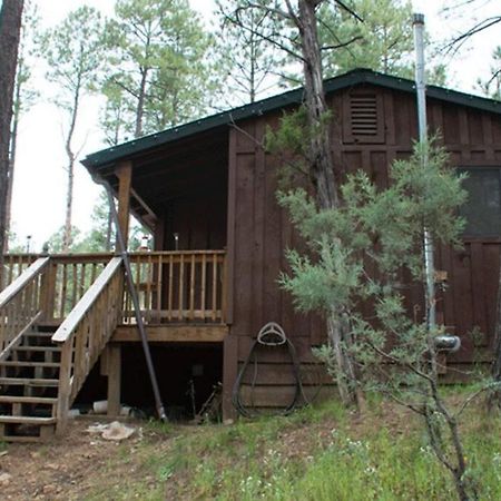 Beary Comfy Cabin Ruidoso Exterior photo